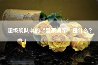 超级舰队中的“皇家海军”是什么？