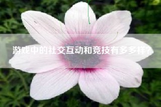 游戏中的社交互动和竞技有多多样？