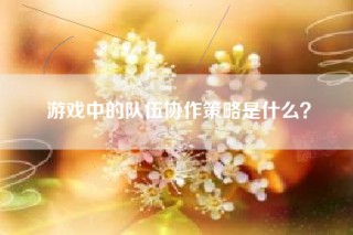 游戏中的队伍协作策略是什么？
