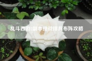 乱斗西游2副本挑战排兵布阵攻略
