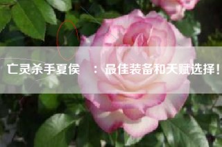 亡灵杀手夏侯惇：最佳装备和天赋选择！