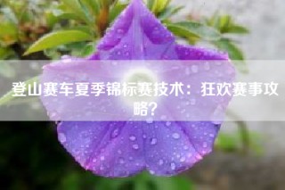 登山赛车夏季锦标赛技术：狂欢赛事攻略？