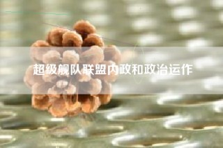 超级舰队联盟内政和政治运作