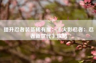 提升忍者装备稀有度：《火影忍者：忍者新世代》攻略