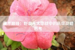 战术巅峰：野蛮人大作战中的高级战略思考
