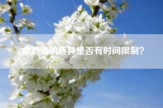 食物语的道具是否有时间限制？