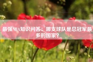 最强NBA知识问答：哪支球队是总冠军最多的国家？