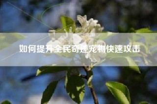 如何提升全民奇迹宠物快速攻击