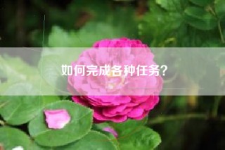 如何完成各种任务？