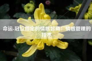 命运-冠位指定的情感智商：情感管理的技术