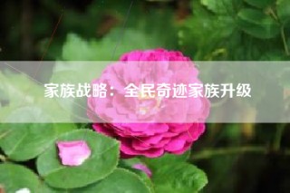 家族战略：全民奇迹家族升级