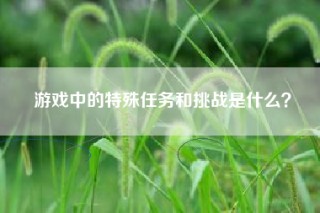 游戏中的特殊任务和挑战是什么？