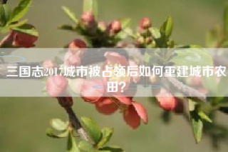三国志2017城市被占领后如何重建城市农田？