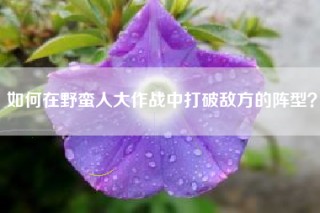 如何在野蛮人大作战中打破敌方的阵型？
