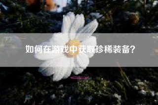 如何在游戏中获取珍稀装备？