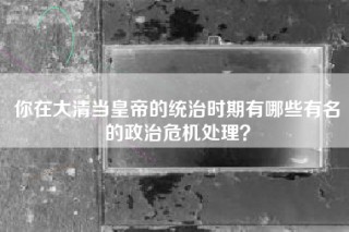 你在大清当皇帝的统治时期有哪些有名的政治危机处理？