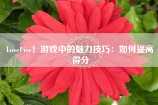 LoveLive！游戏中的魅力技巧：如何提高得分