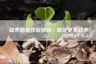 战术图纸获取秘诀：制定更多战术
