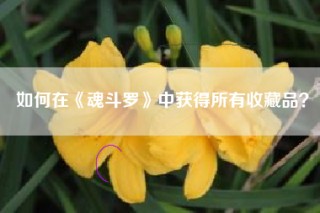如何在《魂斗罗》中获得所有收藏品？