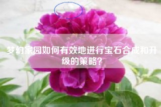 梦幻家园如何有效地进行宝石合成和升级的策略？