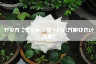 有没有《王国保卫战》的官方游戏统计数据？