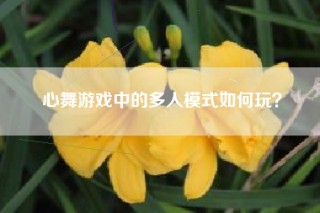 心舞游戏中的多人模式如何玩？