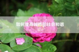 如何提高城市的社会和谐
