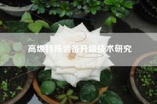 高级特殊装备升级技术研究