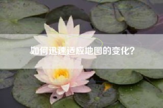 如何迅速适应地图的变化？