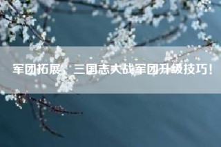 军团拓展，三国志大战军团升级技巧！