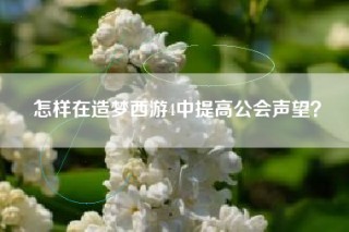 怎样在造梦西游4中提高公会声望？