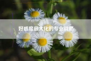 好感度最大化的专业战略