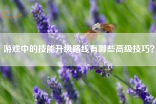 游戏中的技能升级路线有哪些高级技巧？