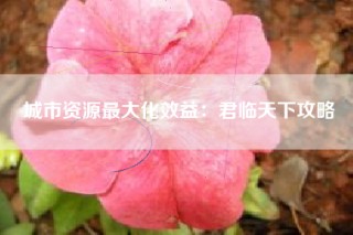 城市资源最大化效益：君临天下攻略