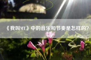 《我叫MT》中的音乐和节奏是怎样的？