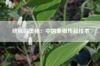 终局的奥秘：中国象棋残局技术