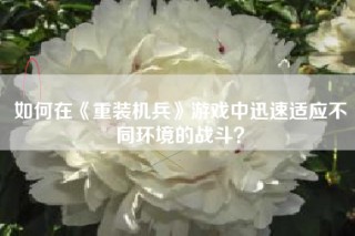 如何在《重装机兵》游戏中迅速适应不同环境的战斗？