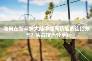 如何在新斗罗大陆中提高技能的连招频率？实战技巧分享！