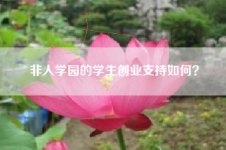 非人学园的学生创业支持如何？