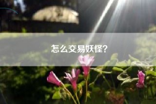 怎么交易妖怪？
