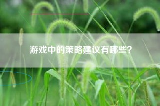 游戏中的策略建议有哪些？