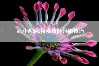 乱斗西游2特殊技能升级技巧