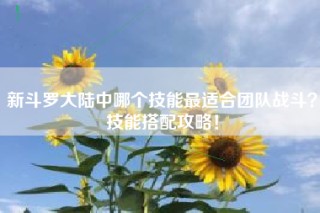 新斗罗大陆中哪个技能最适合团队战斗？技能搭配攻略！