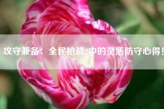 攻守兼备：全民枪战2中的灵活防守心得！