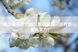 暴力魔托中的随从系统攻略，培养随从提升实力！