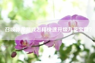 召唤神龙游戏怎样快速升级九龙宝藏？