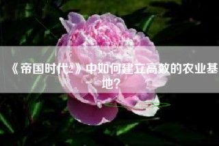 《帝国时代2》中如何建立高效的农业基地？