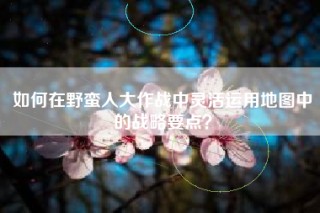 如何在野蛮人大作战中灵活运用地图中的战略要点？