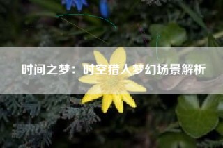 时间之梦：时空猎人梦幻场景解析