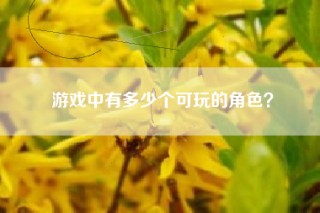 游戏中有多少个可玩的角色？